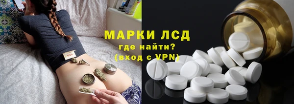 прущие грибы Губаха