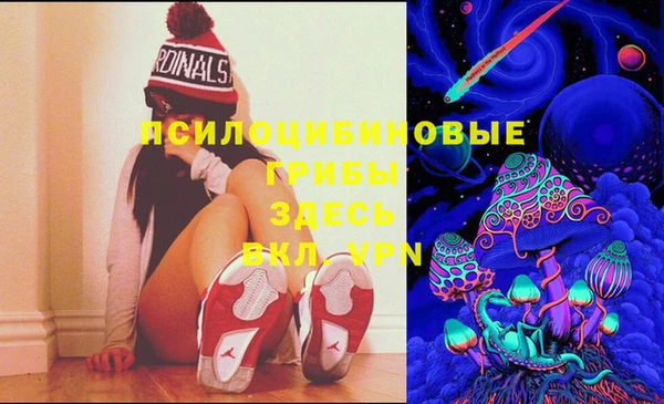 ГАЛЛЮЦИНОГЕННЫЕ ГРИБЫ Зерноград