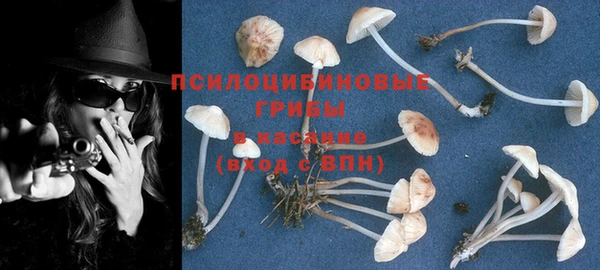 МДПВ Ельня