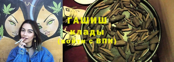 МДПВ Ельня