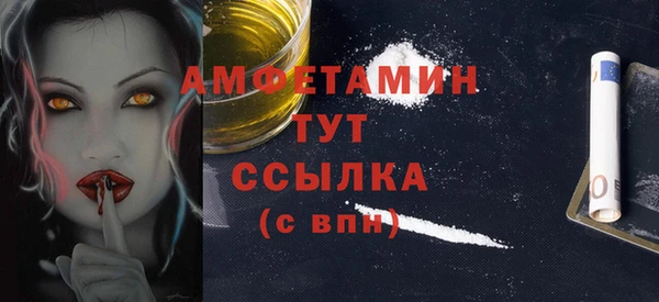 МДПВ Ельня