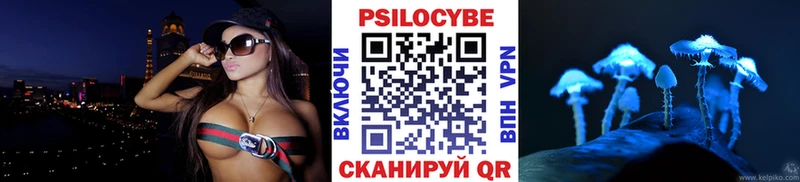 где можно купить наркотик  Катайск  Псилоцибиновые грибы ЛСД 